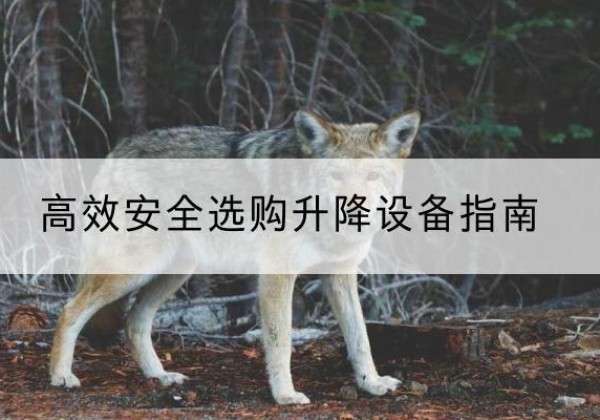二道江升降货梯厂家推荐-*安全选购升降设备指南