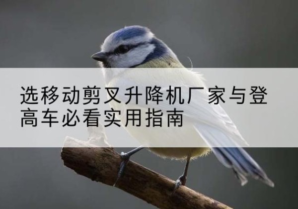 二道江电动升降机厂家-选移动剪叉升降机厂家与登高车必看实用指南