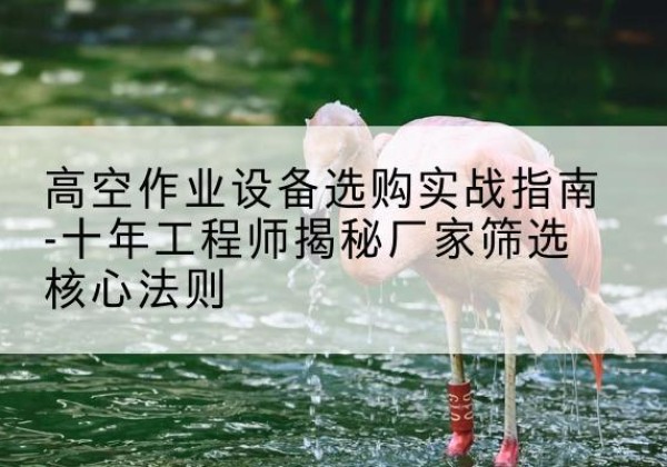 二道江剪叉式升降机厂家-高空作业设备选购实战指南-十年工程师揭秘厂家筛选核心法则